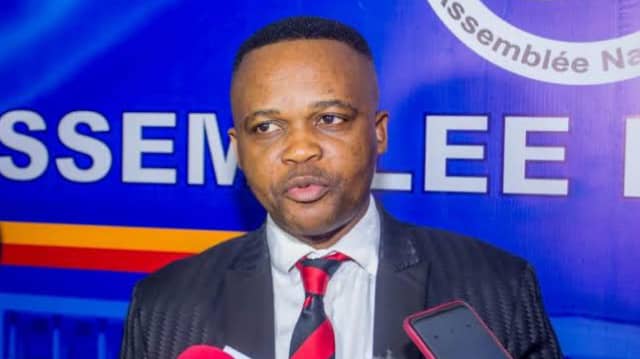 RDC : Nomination des mandataires publics, Nsingi Pululu de retour à la SNEL