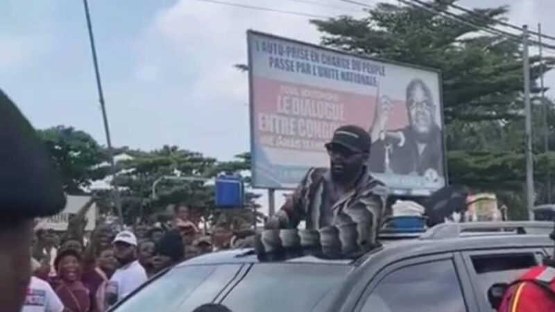 Musique : Fally Ipupa en plein carnaval à Kinshasa